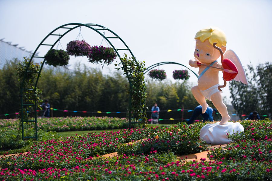 _DSC6556_副本.jpg