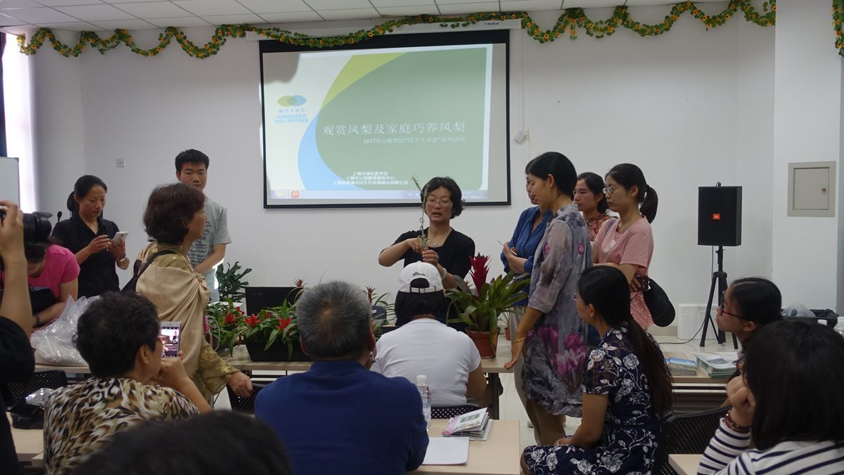 分株演示_副本.jpg