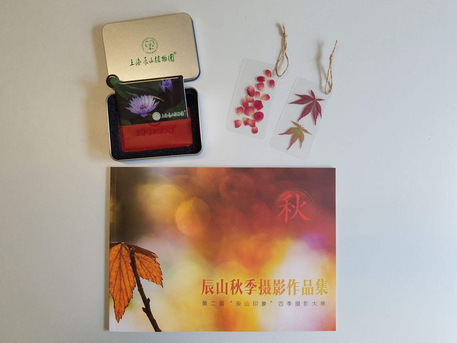 2_副本.jpg
