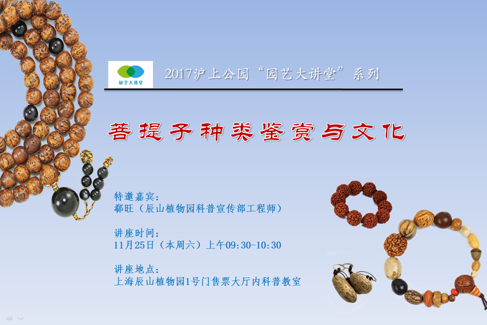 招募海报副本.png