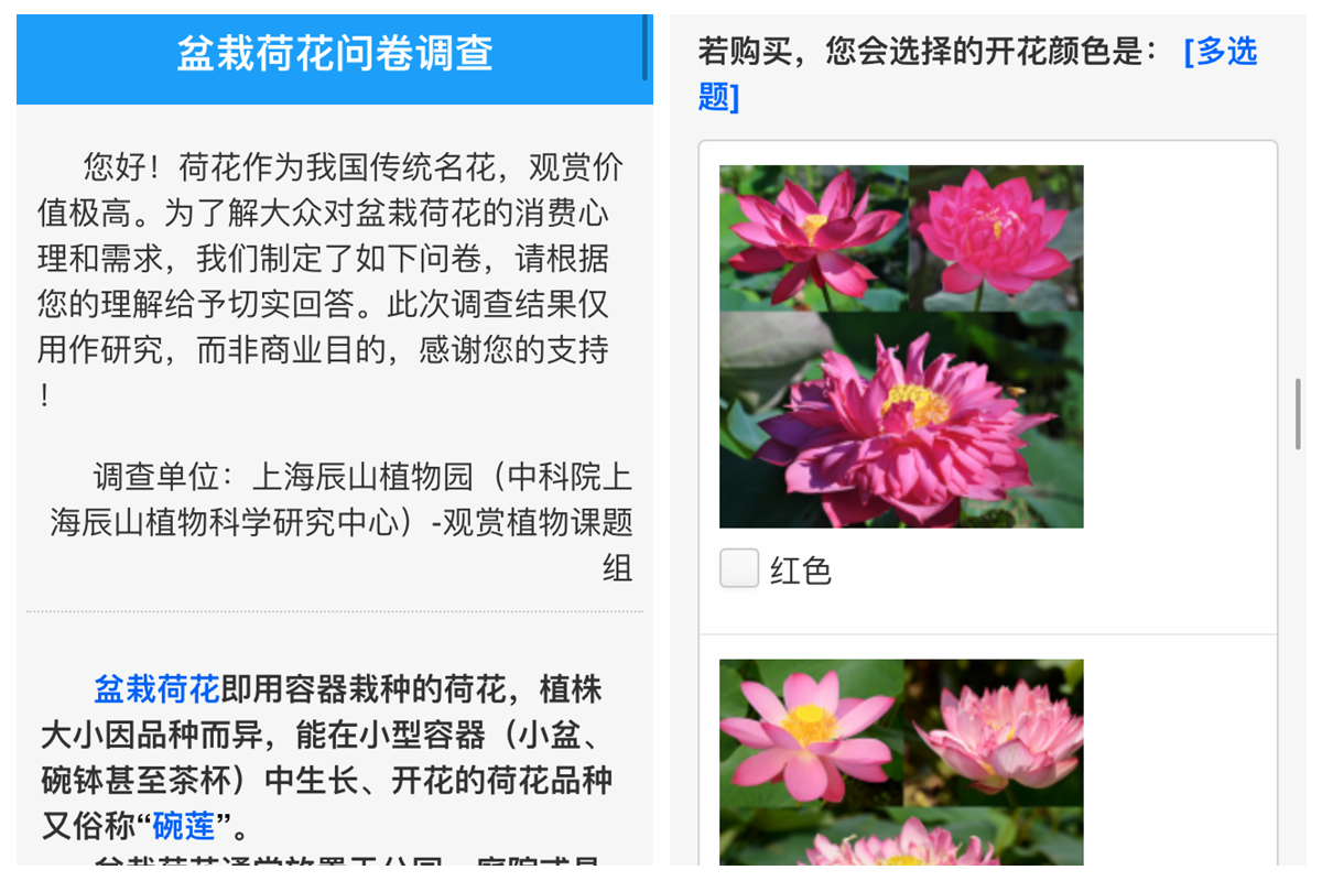 微信图片_20180110112224_副本.png