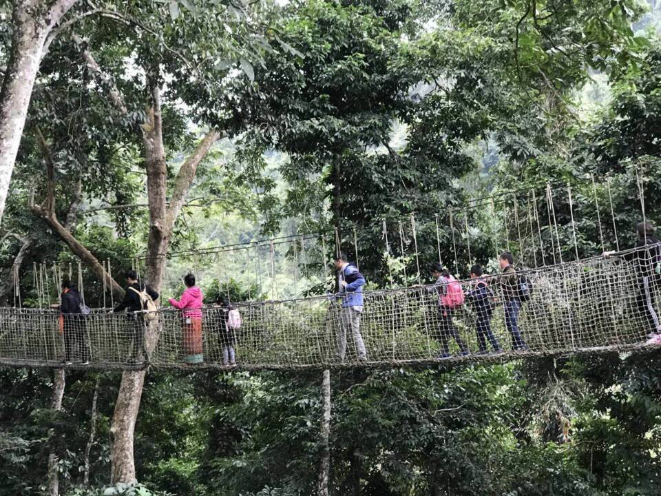 吊桥1.jpg