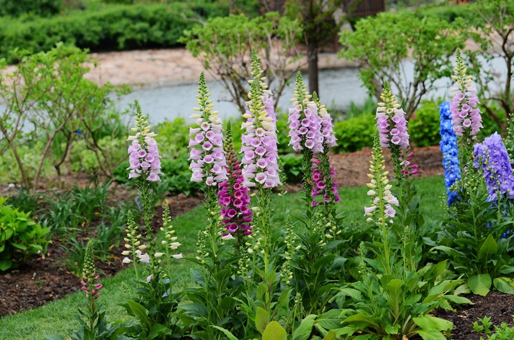 DSC_4653_副本.jpg