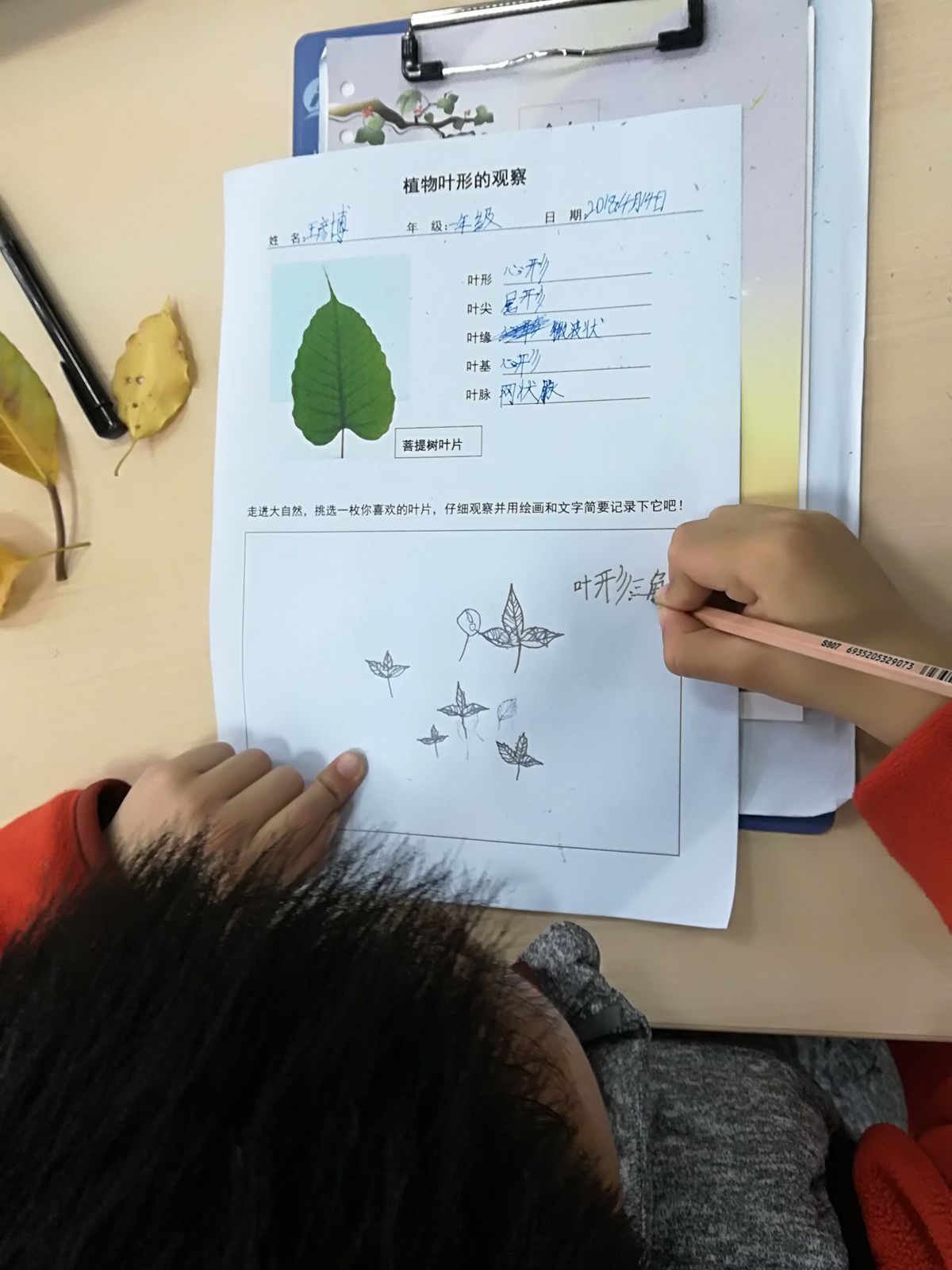 绘画_副本.jpg