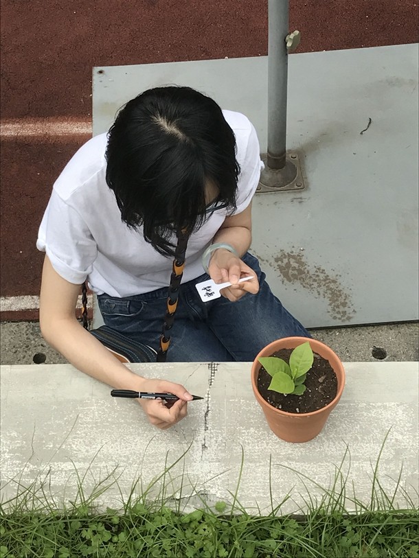 04_副本.jpg