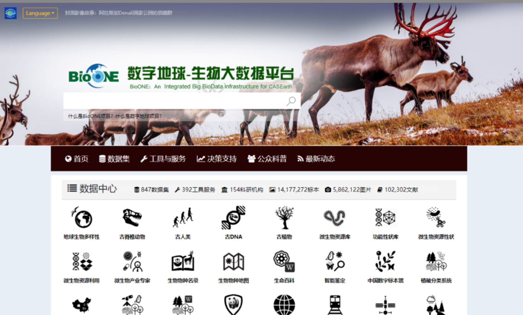 网站图片.png