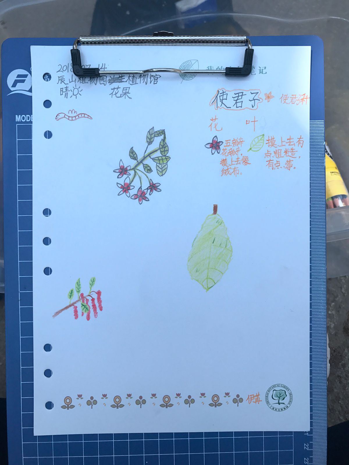 自然笔记作品 (1)_副本.jpg