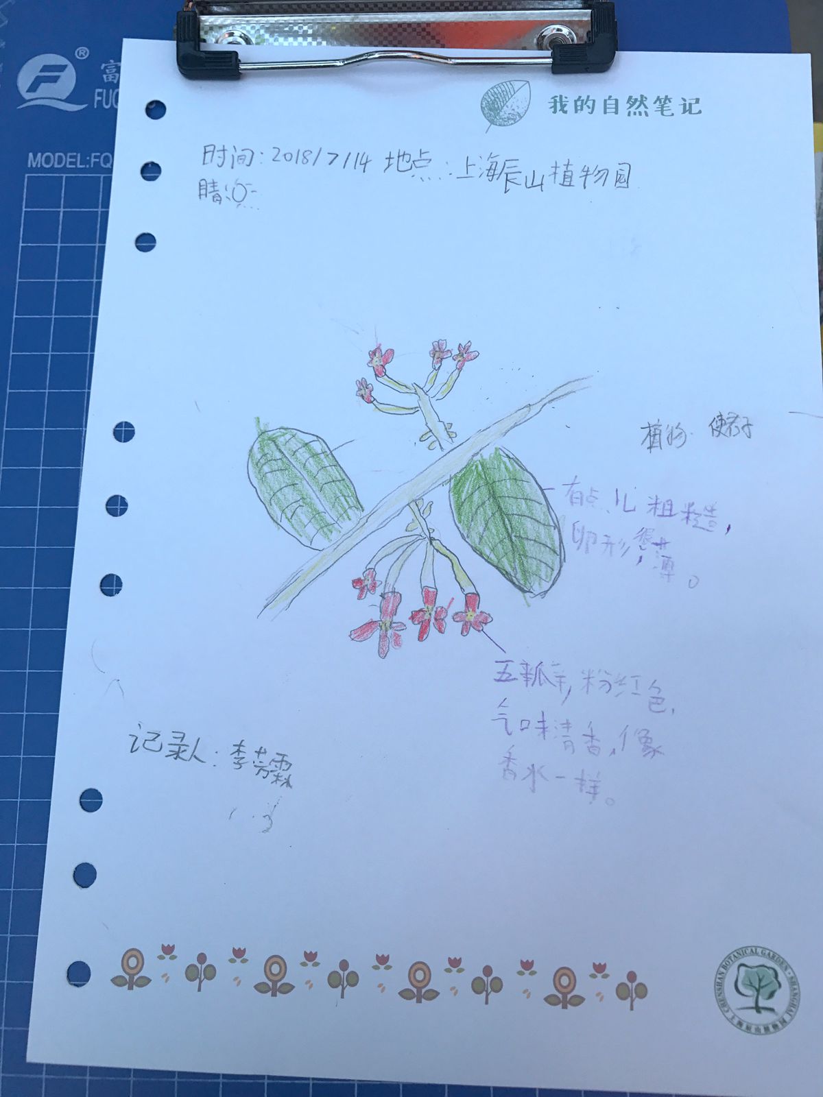 自然笔记作品 (2)_副本.jpg