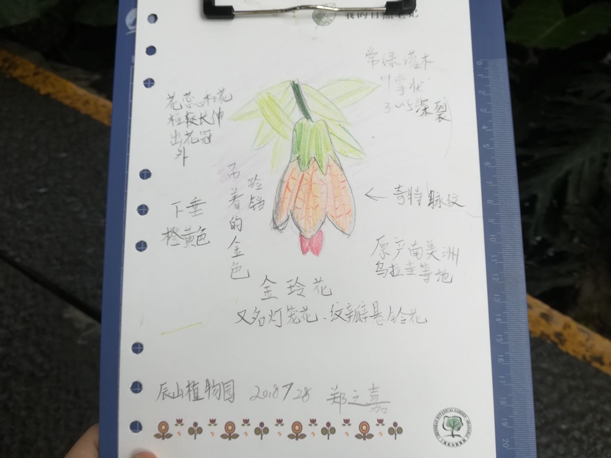作品4_副本.jpg