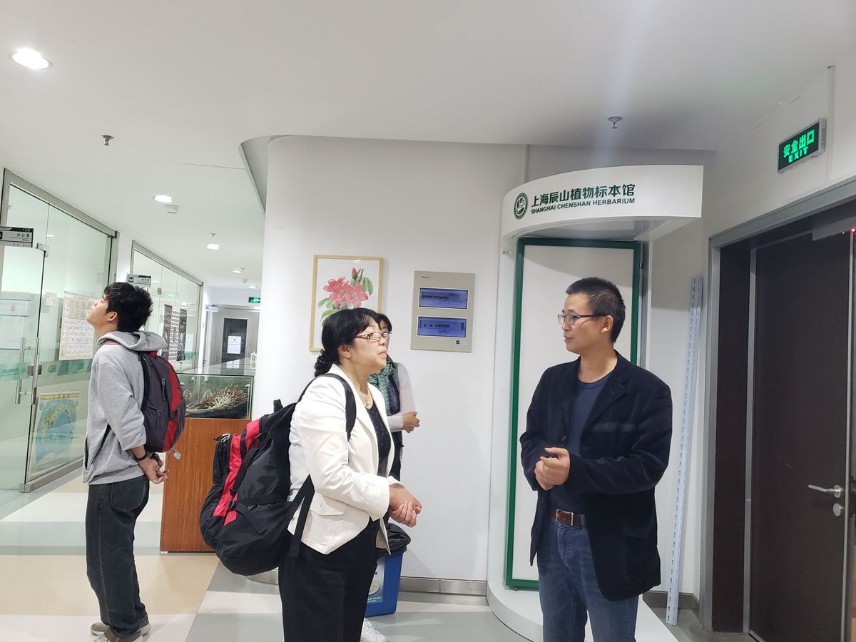 林苏娟教授_副本.jpg 林苏娟教授_副本.jpg