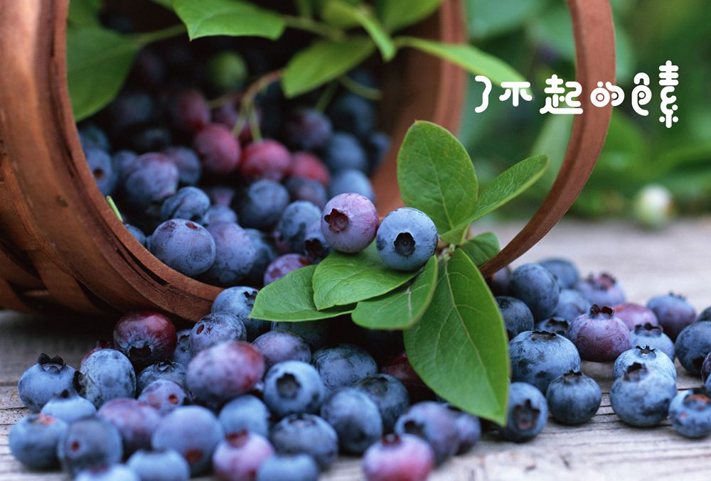 了不起的色素_副本.jpg