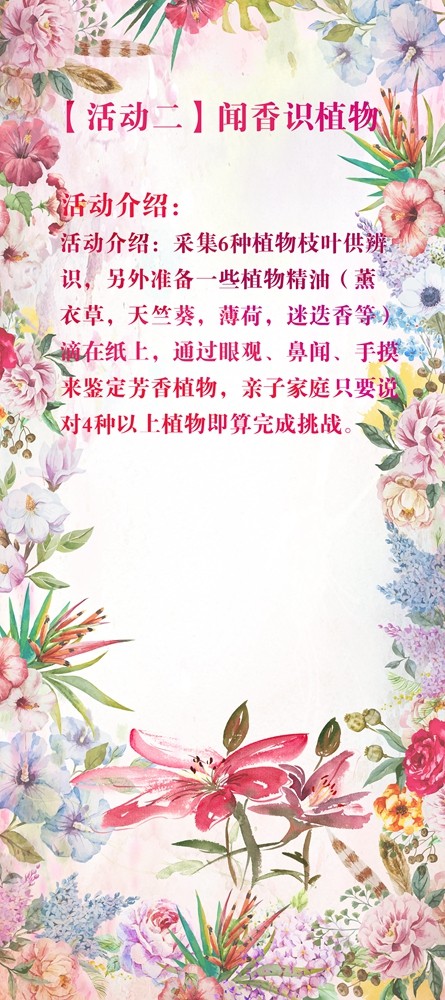 活动2.jpg