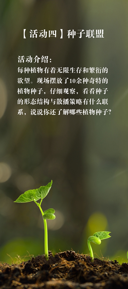 活动4.jpg