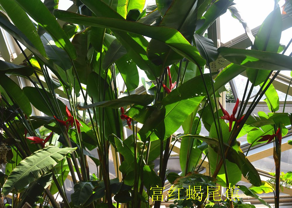 1_副本.jpg