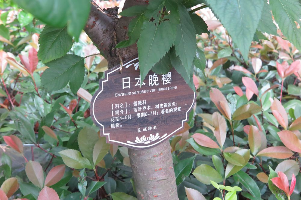 2_副本.jpg
