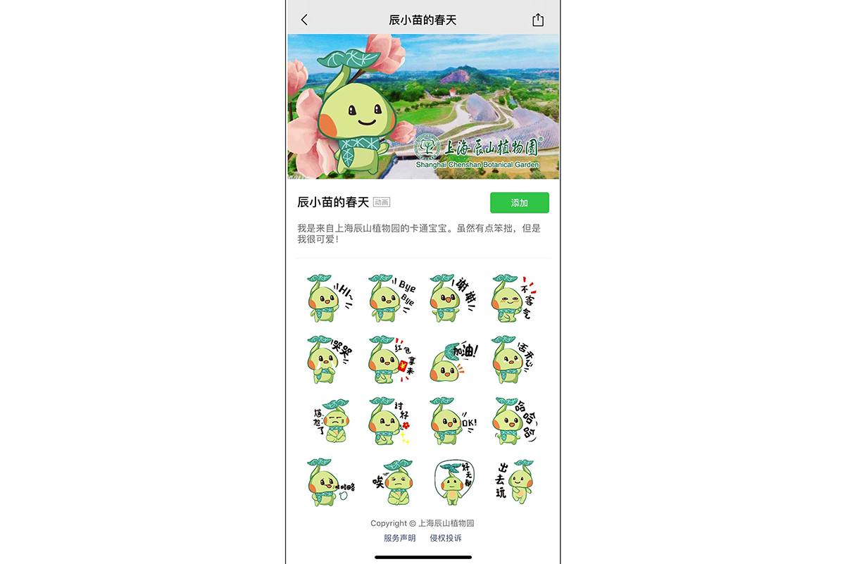 E:\通讯稿\0407张哲-辰山辰小苗表情包\QQ图片20200407102522.jpg E:\通讯稿\0407张哲-辰山辰小苗表情包\QQ图片20200407102522.jpg