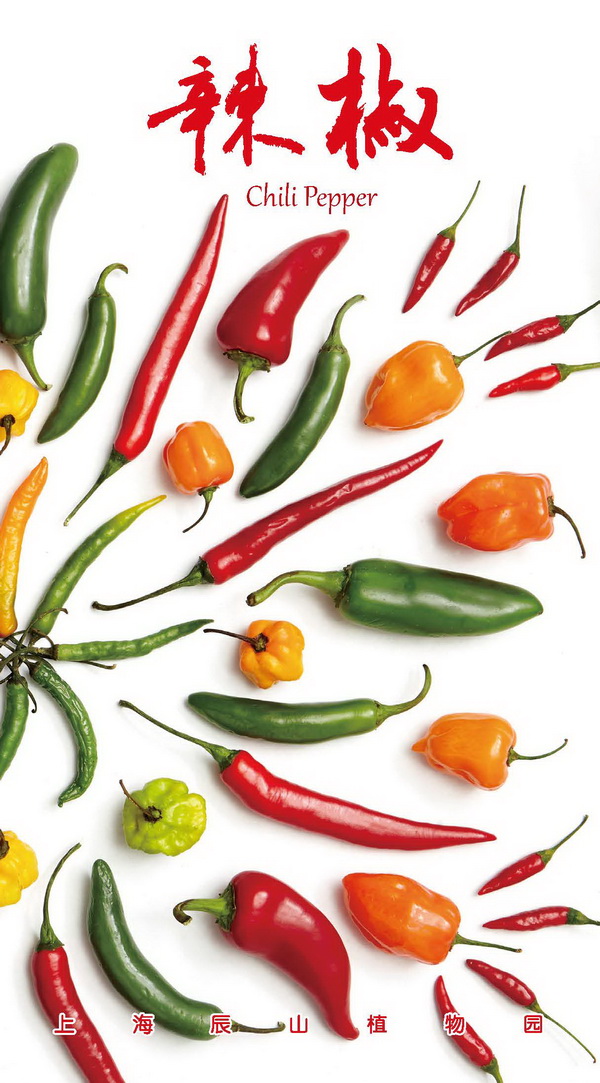 辣椒手册_页面_01.jpg