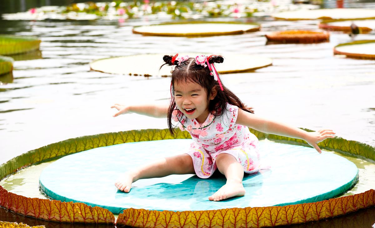 百变萌娃坐王莲 (1).jpg