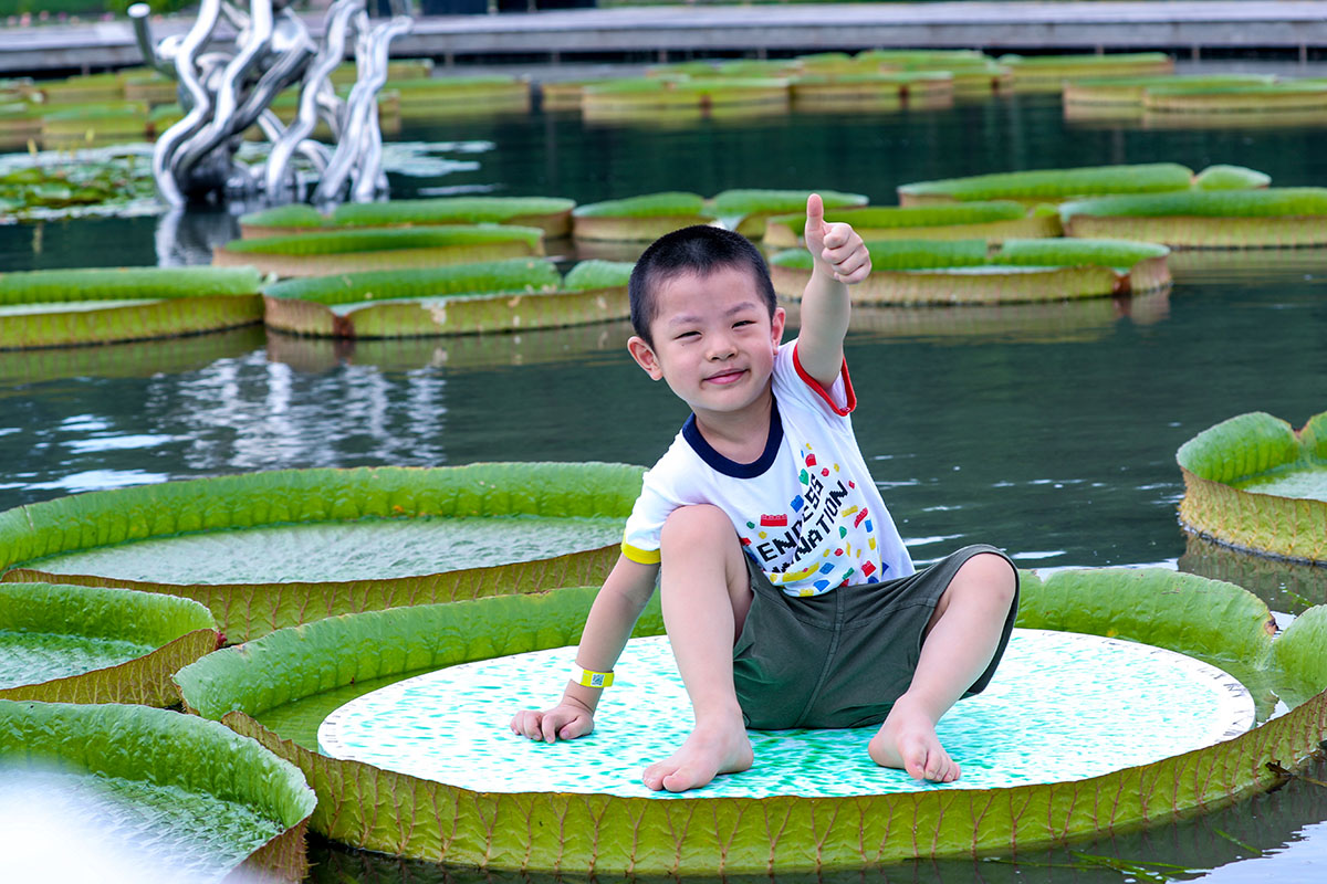 百变萌娃坐王莲 (2).jpg