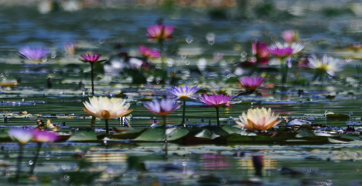 浮光 展区 (2).jpg