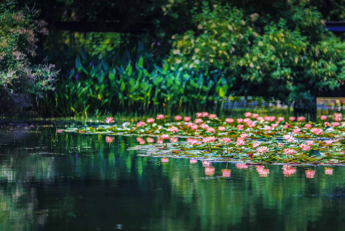 不染 展区 (2).jpg