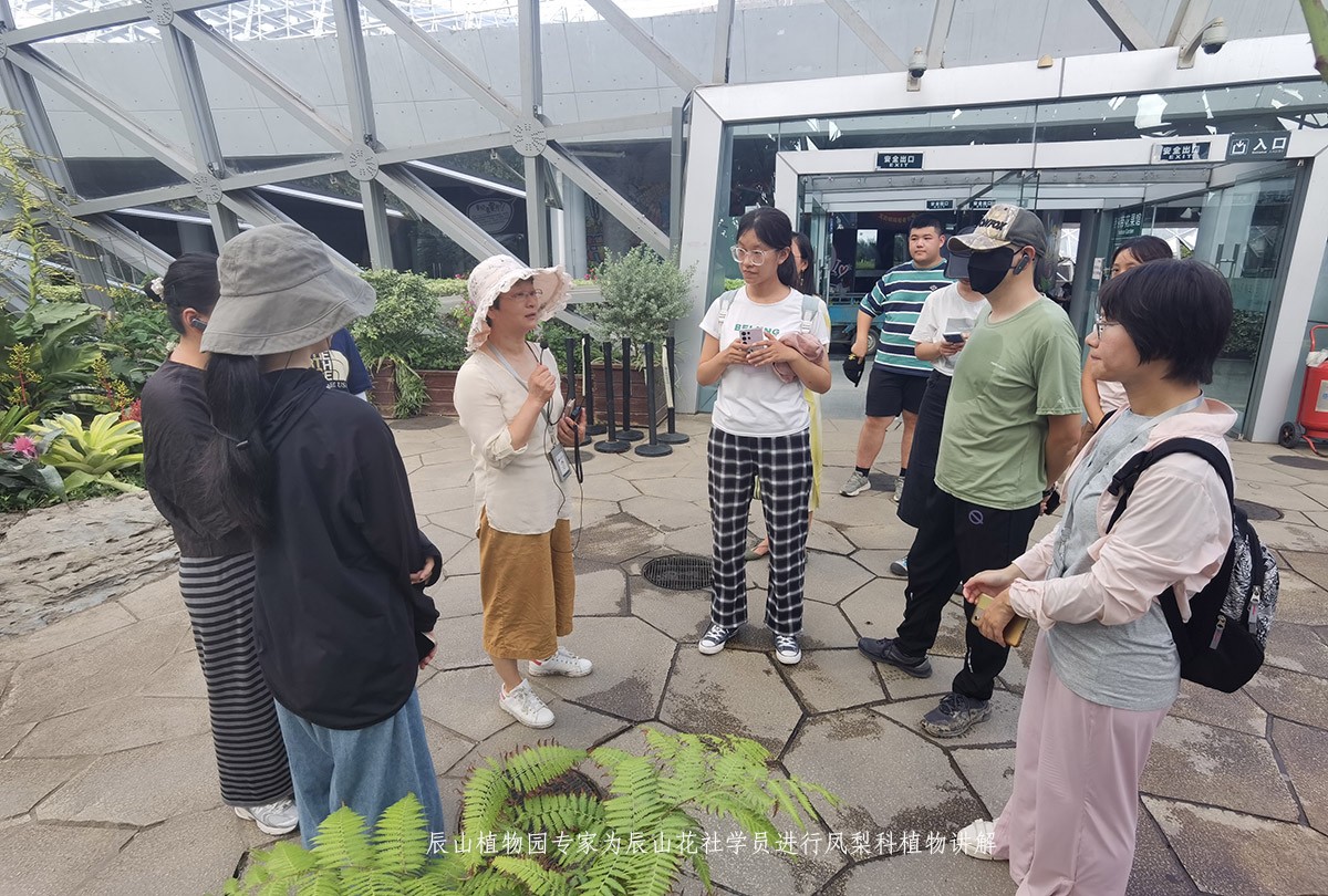 凤梨科植物参观讲解.jpg