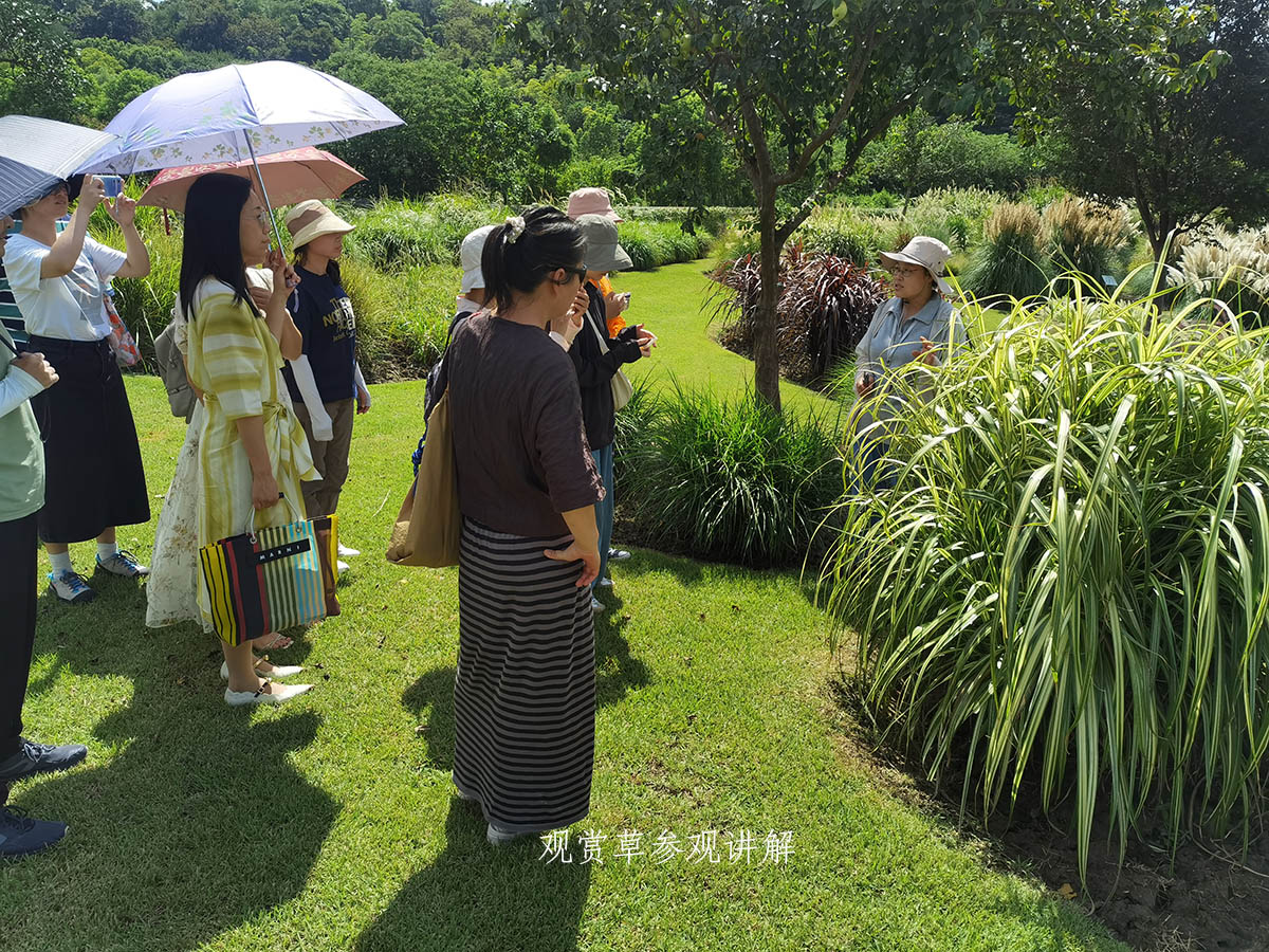 观赏草参观讲解.jpg
