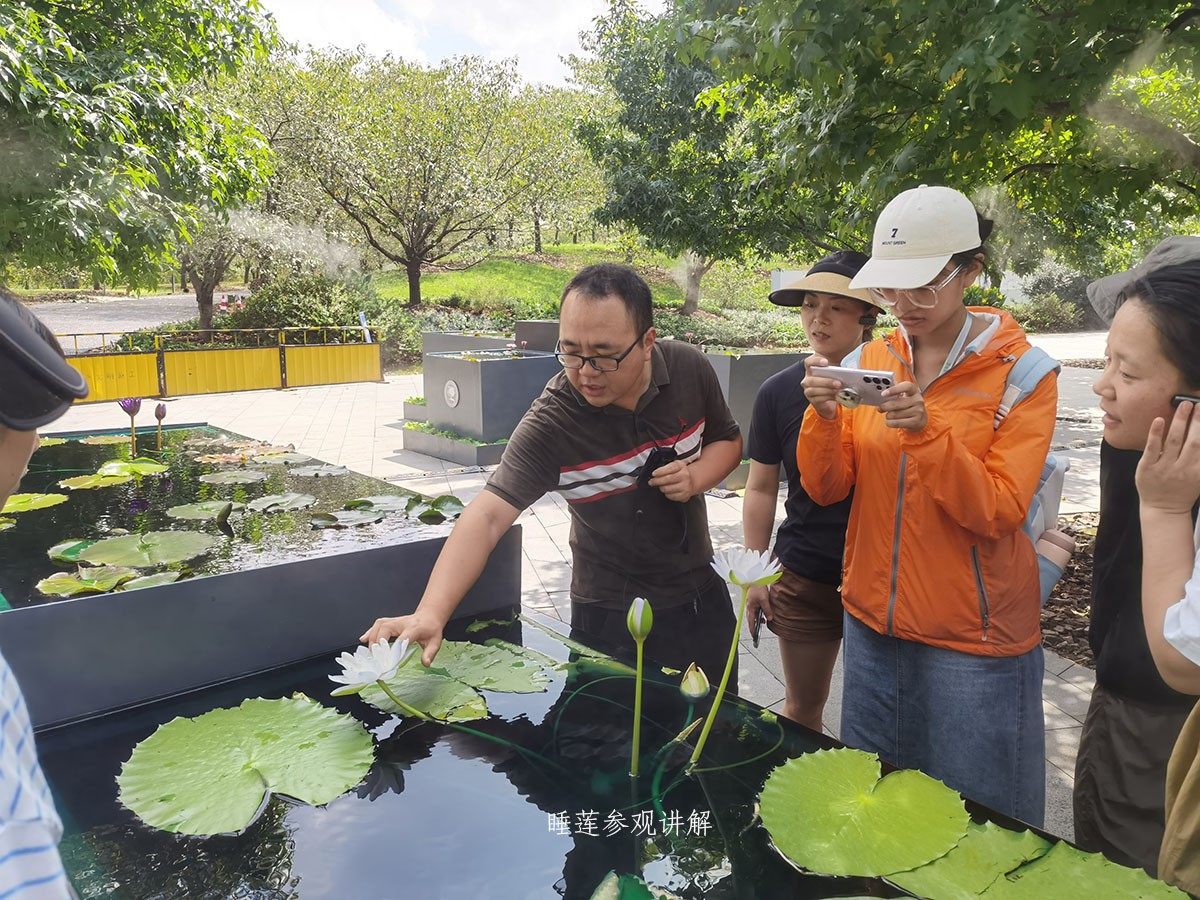睡莲参观讲解.jpg
