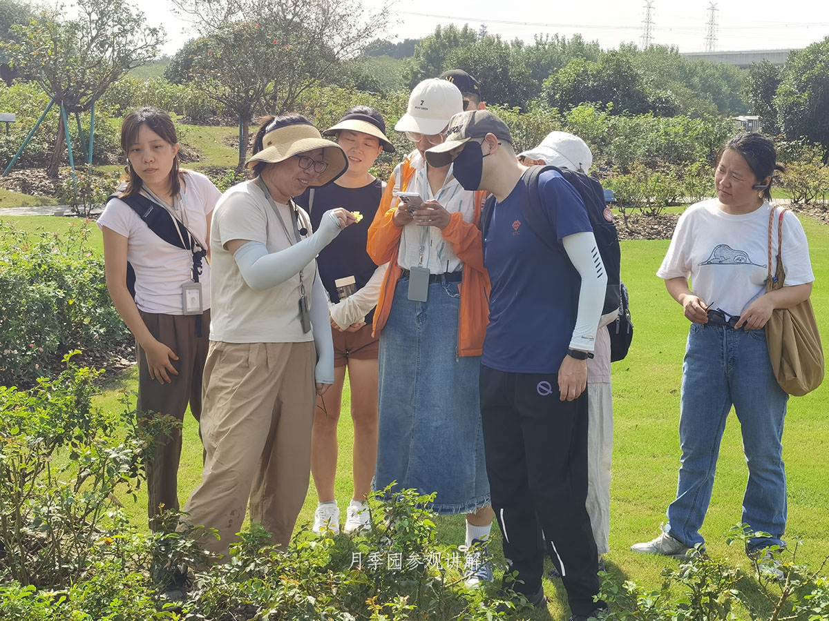月季园参观讲解.jpg
